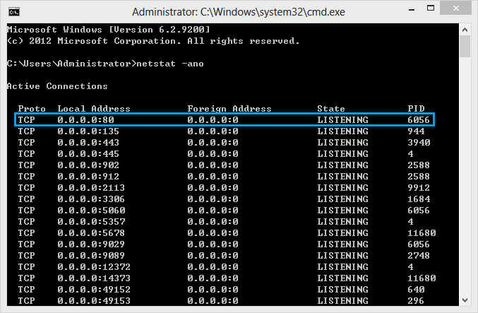 WampServer local installation WordPress