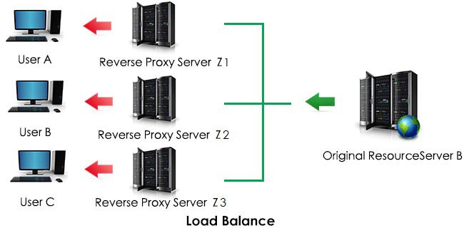 Reverse Proxy