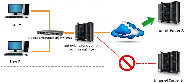 Transparent Proxy