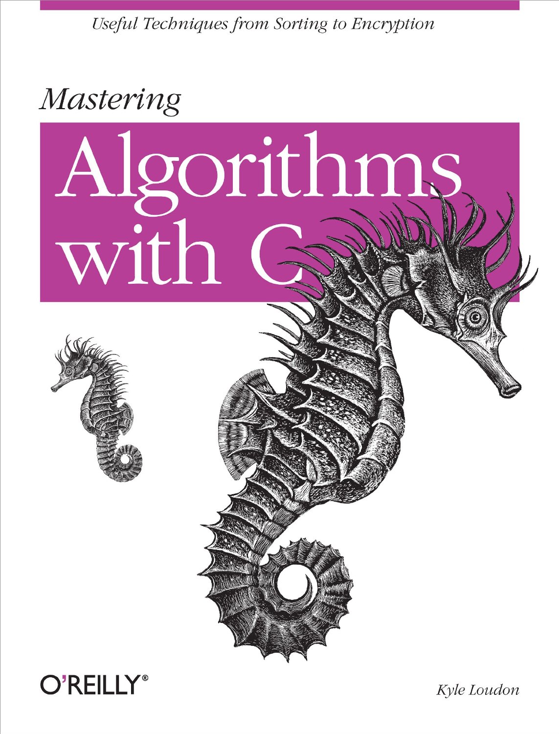 Mastering Algorithms with C