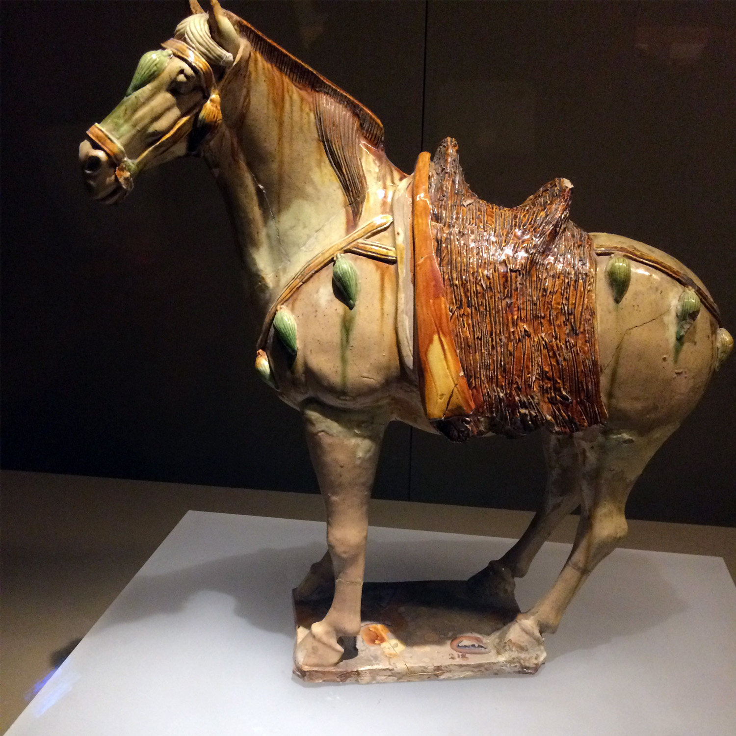 Thi-colored Horse in Shaanxi History Museum